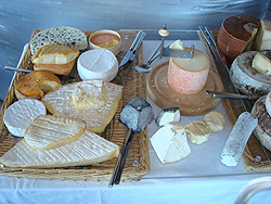 Архив набор 2006 — Ватель Ним